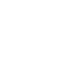 Grupo Kingans